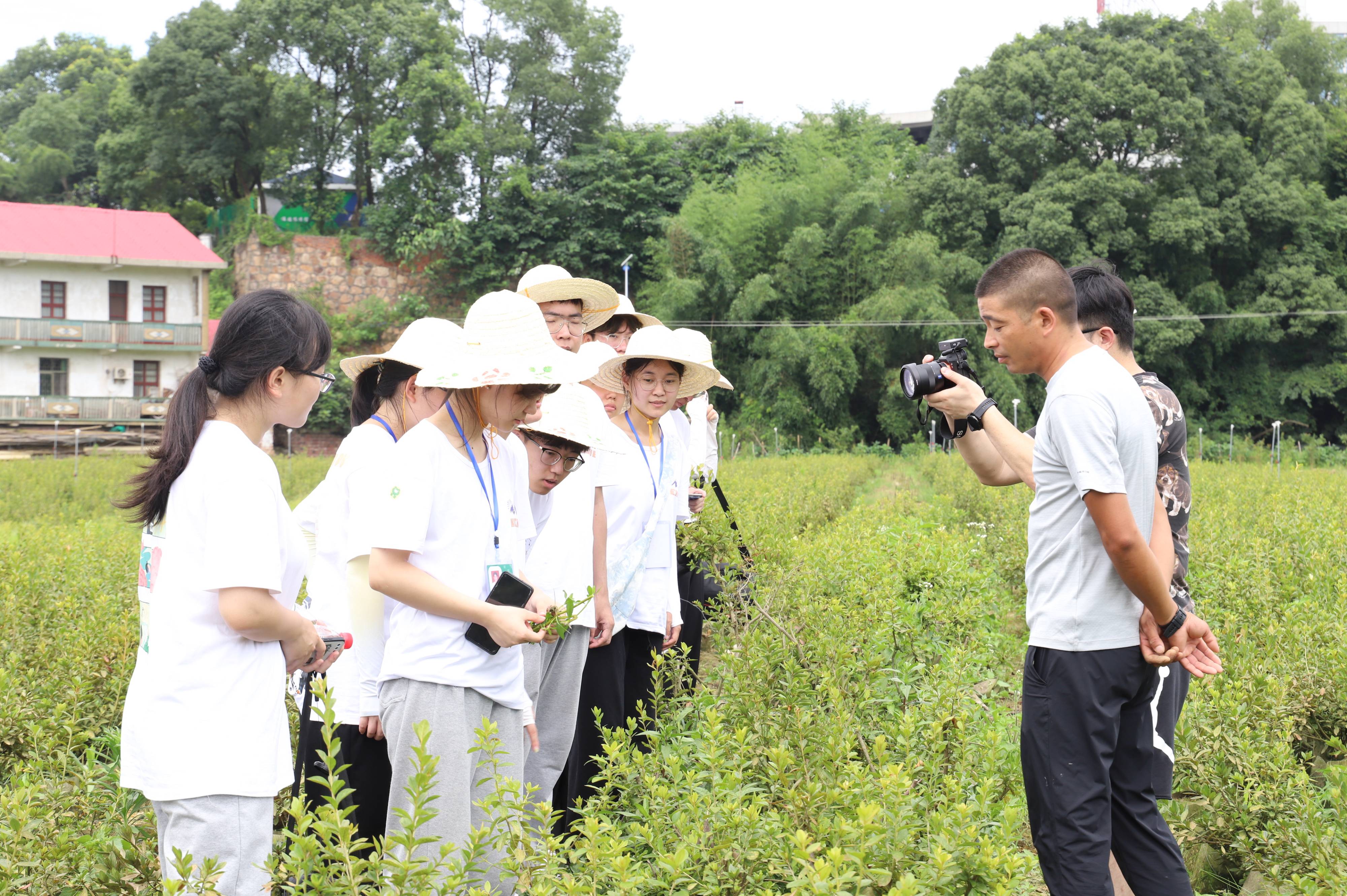 a41b69874b0c477bb254036f46a9f912.jpg a41b69874b0c477bb254036f46a9f912.jpg